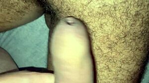 big bear destroys passive