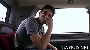 Is this bear ready for intense homosexual action?