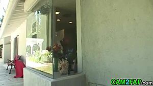 Blonde Fucked Free Big Boobs Porn Video