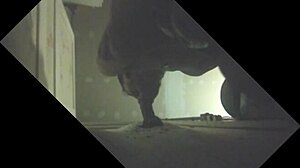 Stallion Drained in Glory Hole by Sucking