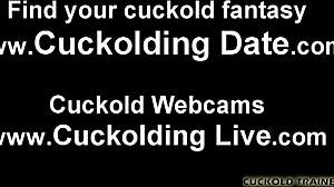 I Want You As My New Cuckold Slave