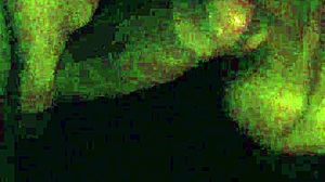 want to get head from this sexy latina in the car?