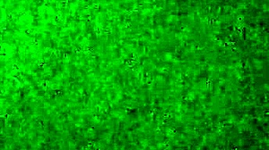 wifey gets ready for a fun day