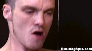 Dominant top drills sub's asshole in doggystyle