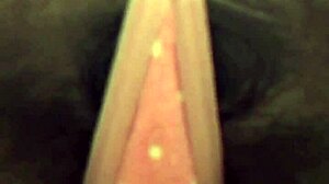 ebony babe strips out of sweats in public bathroom, teasing her ass