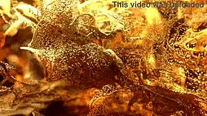 Elina Sands Endures Big Fisting and BBC Anal Destruction