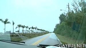 Free Pictures of Homo Sex.