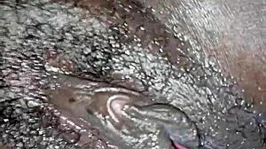 Thick Latina BBW Fingers Herself to Cumshot