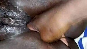 Thick Latina BBW Fingers Herself to Cumshot