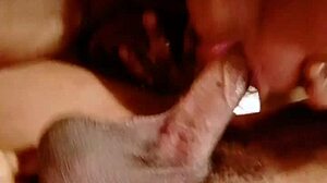 Sundaydogood614 Update 58 Feb 08 2024