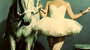 Vintage erotic animation from retro cartoon era