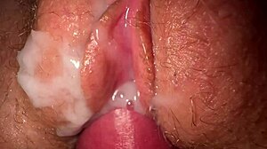 amateur teens getting creampies in sexy compilation