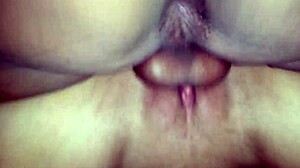 why am i double creampied in cuckold threesome by black guy?