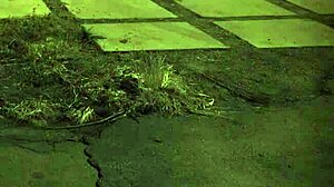 Hey, dive into Brazilian BDSM domination if you're hardcore enough