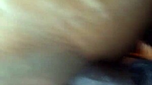 Thick Detroit Chick's Wet Pussy Feels Intense Pleasure During Nailing