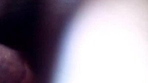 pornjelly stars in vip sex with licking and doggystyle