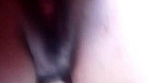 pornjelly stars in vip sex with licking and doggystyle