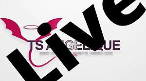 I am TS Angelique Monroe in this webcam show