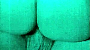 Holy Crap! Vintage Hairy Pussy Action in Retro Porn Clip!