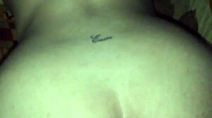 i penetrate karly bebe hard in anime hentai style