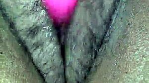 Miss Chocolate enjoys a relaxing toy session