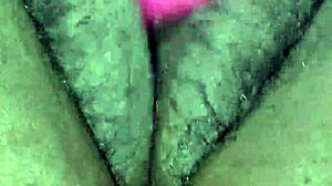 Miss Chocolate enjoys a relaxing toy session