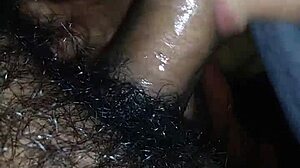 cleaning lady gives blowjob before wife arrives