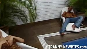 Join Our Intense Tranny Orgy Now!