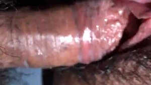 sex in the morning with wife