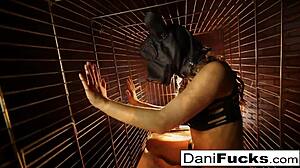 I admire sexy Dani Daniels posing in a cage, feeling her playful allure.