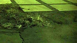 Y Solo Fingering Squirt Hd