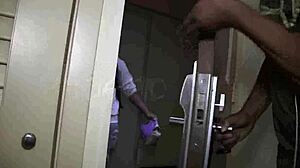 lizzy and phoenoisseur get banged in exclusive lesbian pussy action