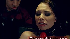 aidra fox and kharlie stone in extreme rough orgy