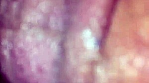 willy and jesse with matthew