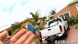 one lad says, watch us suck each other's cocks in hot gay sex