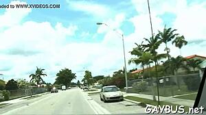 one lad says, watch us suck each other's cocks in hot gay sex