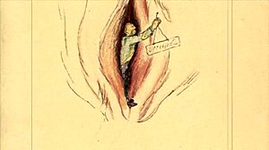 Vintage Erotic Illustration Captures Timeless Sensual Art