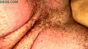 I saw Dan Charlie Bear fucking