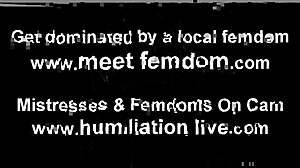 लिक्विड लंच