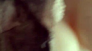 Toys in Action with MB1977th - Curious Yet?