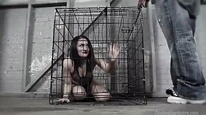 Caged Gabriella Paltrova sloppy BBC blowjob