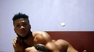 I watch the Congolese hooker lick my big black cock slowly.