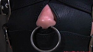 Gal receives hardcore clamping on wet cunt in missionary bondage