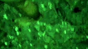 Me And My Friend's Secret Encounter