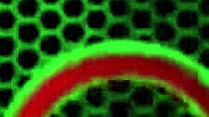 Siri whips up brownies while playing with huge toys and showing big assets