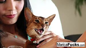 Japanese Star Marica Feels Every Inch of Black Cock in Hardcore Pounding.