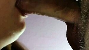 gentle slow blowjob to your lover