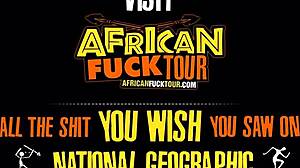 ebony wife deepthroats big cock pov