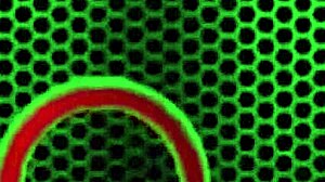 hey blondie sunny lane, show off that nice big ass and lingerie