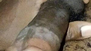 The gay twink gives himself a handjob with his big cock at home